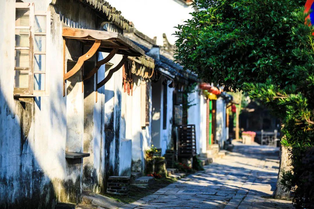 合金装备5